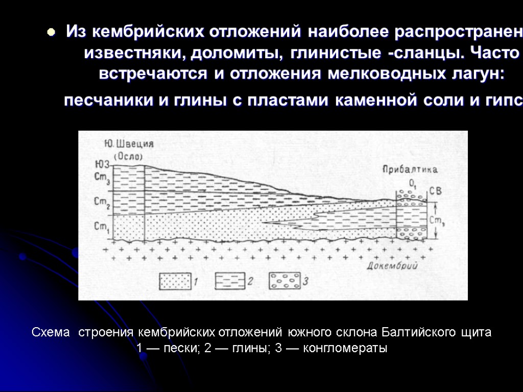 Из кембрийских отложений наиболее распространены известняки, доломиты, глинистые -сланцы. Часто встречаются и отложения мелководных